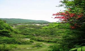 翠岩寺