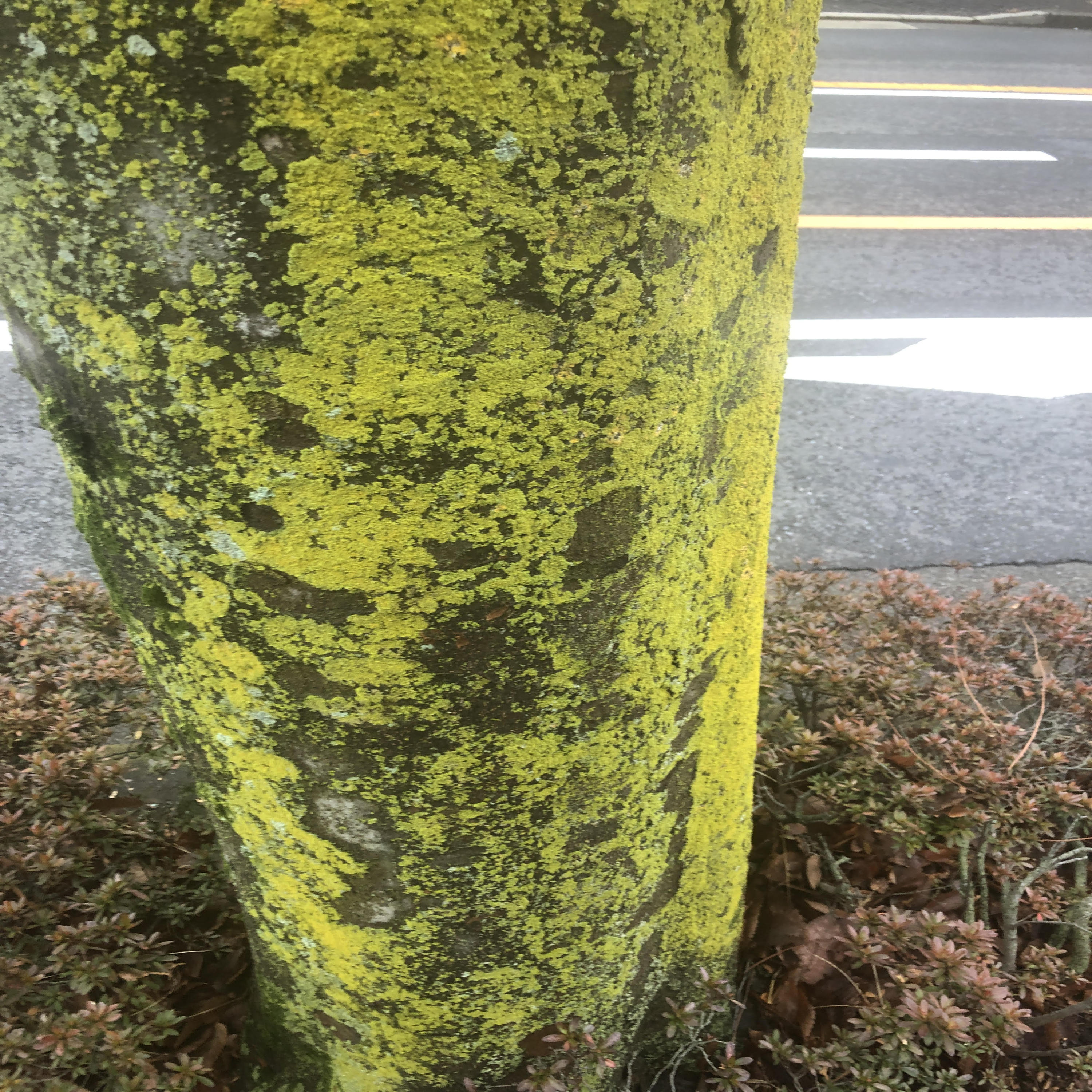 別アカウントで更新。