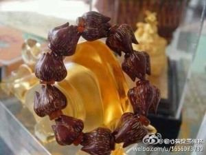 自控力:发现你的使命——迸发持久动力