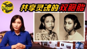 病态般存在沉默双胞胎 独创神秘沟通法则 为什么两个人只能活一个