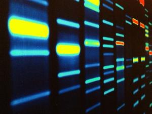 Infective Heredity