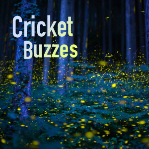 Crickets in Dry Bamboo Forest 1+3 Frequency