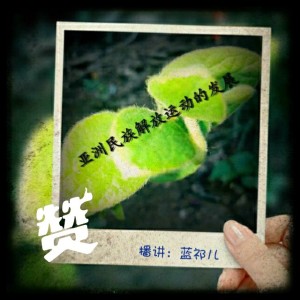 第四单元:第二次世界大战前的世界㈡