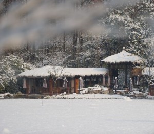 雪 【还有多少听友与我一起感受宁静~~】