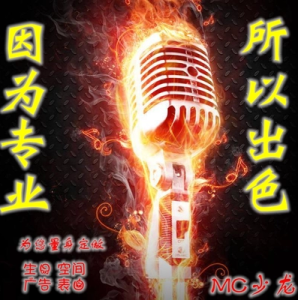 中域电讯