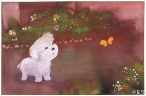 自控力:如何马上变得积极起来(1)