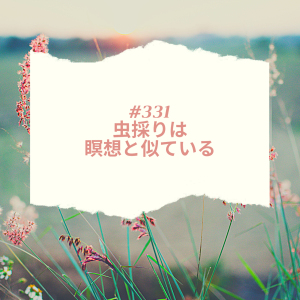 #331 虫採りは瞑想と似ている