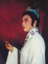 金美芳、姜佩东《红楼梦-天上掉下个林妹妹》