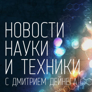 Что способно сделать мужчин несчастными всемьях? (253)