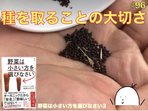 【#96】種を取ることの大切さ【野菜は小さい方を選びなさい03】