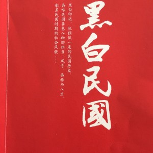 照片政治学(欢迎订阅、打赏)