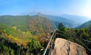 紫青山