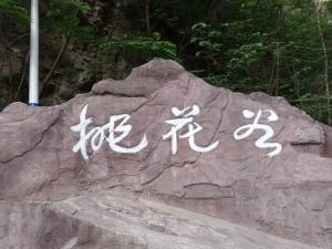 桃花谷之雪中嗷啸-魏雷江