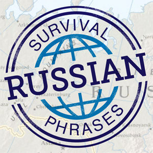Wait there's more... Instantly access all 60 survival phrases!
