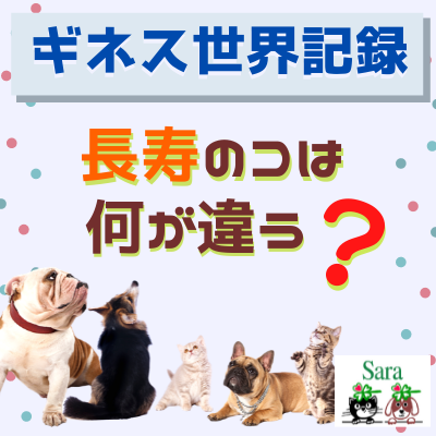 303 ギネス世界記録から読み解く 長寿の犬猫は何が違う Clubhouse収録 Mymusic不只音樂 還有podcast