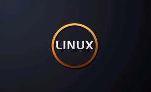 01linux_安装 领资料