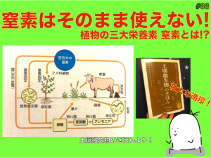 【#88】植物の三大栄養素の一つ「窒素」とは!? 窒素はそのままでは吸収されない!?