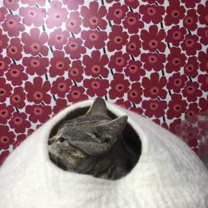 看取りのハナシ、聞きたくない方は聞かないで❣️