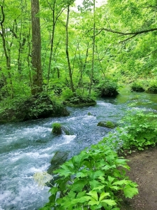 心の中に流れる川