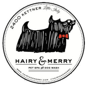 Hairy & Merry Podcast #2 - Pet Portrait Stories with Allison Shamrell