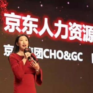 TELink峰会主题演讲-京东人力资源策略革新(5)