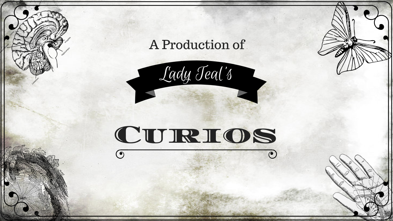 Lady Teal\'s Curios