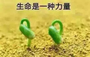 不要对孩子说的100句话