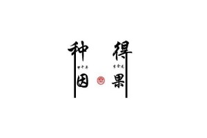 03重复同样的“因”得到同样的“果”