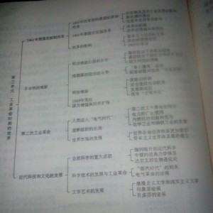 第三单元:工业革命时期的世界㈣