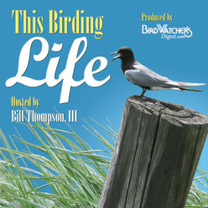 Episode 63: Voices of the Honduras Birding for Conservation Tour