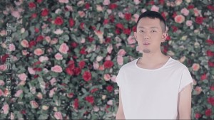 你是我的山茶花