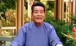 神拳陈南枝a --《潮汕讲古 陈四文》