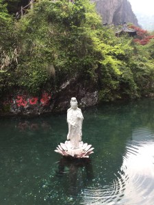 被人误解多次的“自然桩”(上)