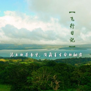 【飞行日记】泥土的芳香里,隐藏着生命的秘密