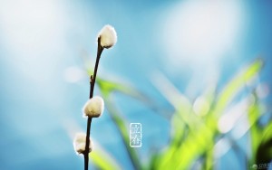 尧访