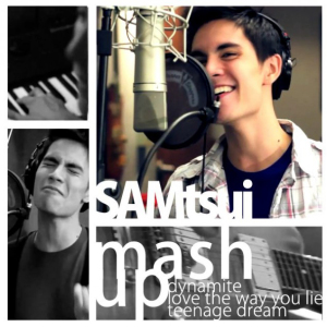 Love The Way You Lie(Sam Tsui改编串烧)