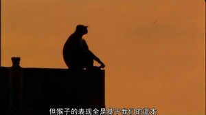 两性奥秘 1·脑性别(国语版)