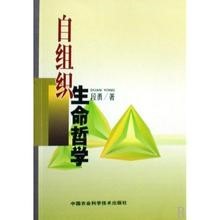 06第二章自组织 三