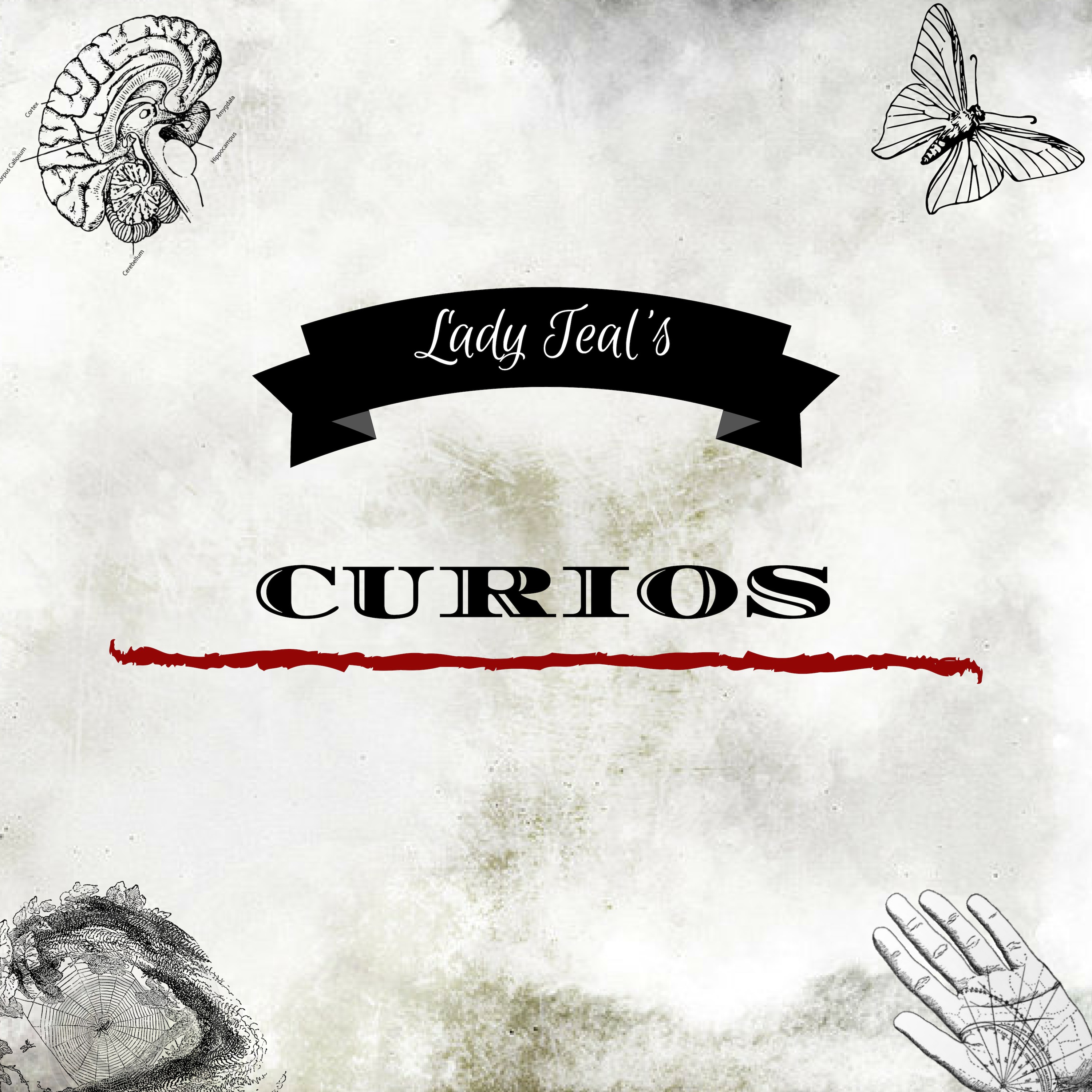 Lady Teal\'s Curios