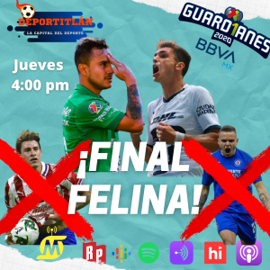 Final Felina