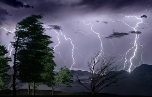 夜の雨