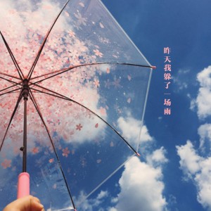 昨天我躲了一场雨