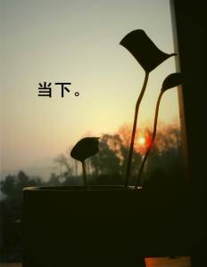 20150129_正念:与自己和解