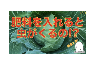 【#89】肥料を入れたら虫が来るの!?理屈を徹底解説!