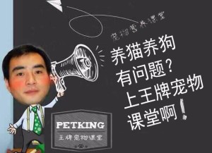 狗狗能吃鸡蛋吗?