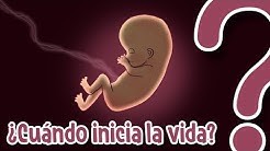 ¿Cuándo inicia la vida de un ser humano? - CuriosaMente 230