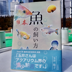【土曜】#24_吉田観賞魚の玉井さん《メダカは5年くらい生きて長生きだと7年。そのつもりで飼ってね》 【土曜】#24_吉田観賞魚の玉井さん《メダカは5年くらい生きて長生きだと7年。そのつもりで飼ってね》