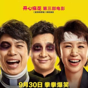 VOL.29 如果不好看,我就铁锅炖自己—羞羞的铁拳