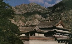 古松、大雄宝殿总述