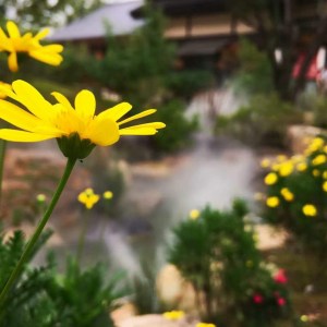【故乡.今日早读】